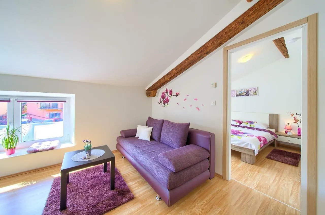 Apartments Muciceva Ravan Jurdani 0*,