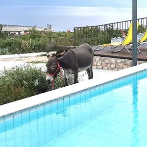  Apartment Suzi Donkey Farm With Seaview
